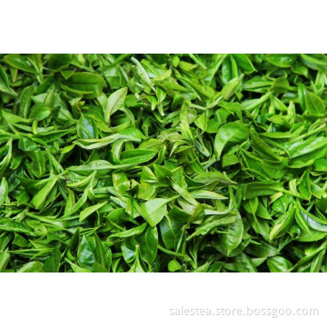 Organic Bulk wholesale Japan Green Tea Bancha